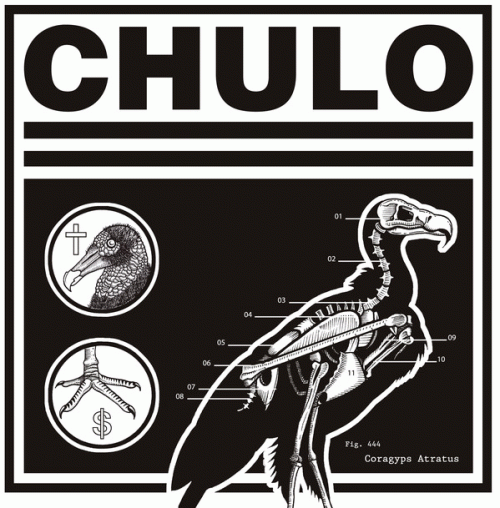 Chulo : Coragyps Atratus